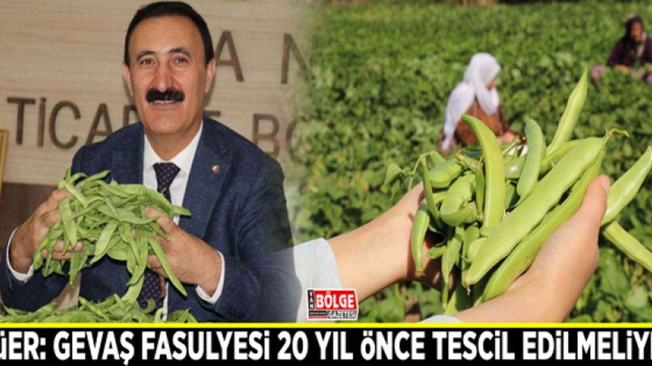 Süer: Gevaş fasulyesi 20 yıl önce tescil edilmeliydi