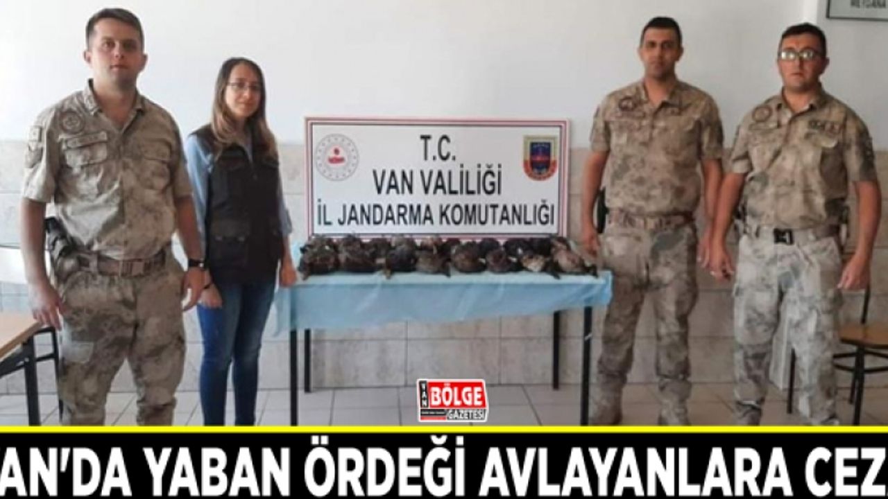 Van'da yaban ördeği avlayanlara ceza