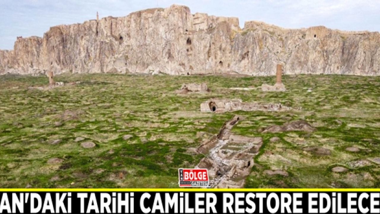 Van'daki tarihi camiler restore edilecek