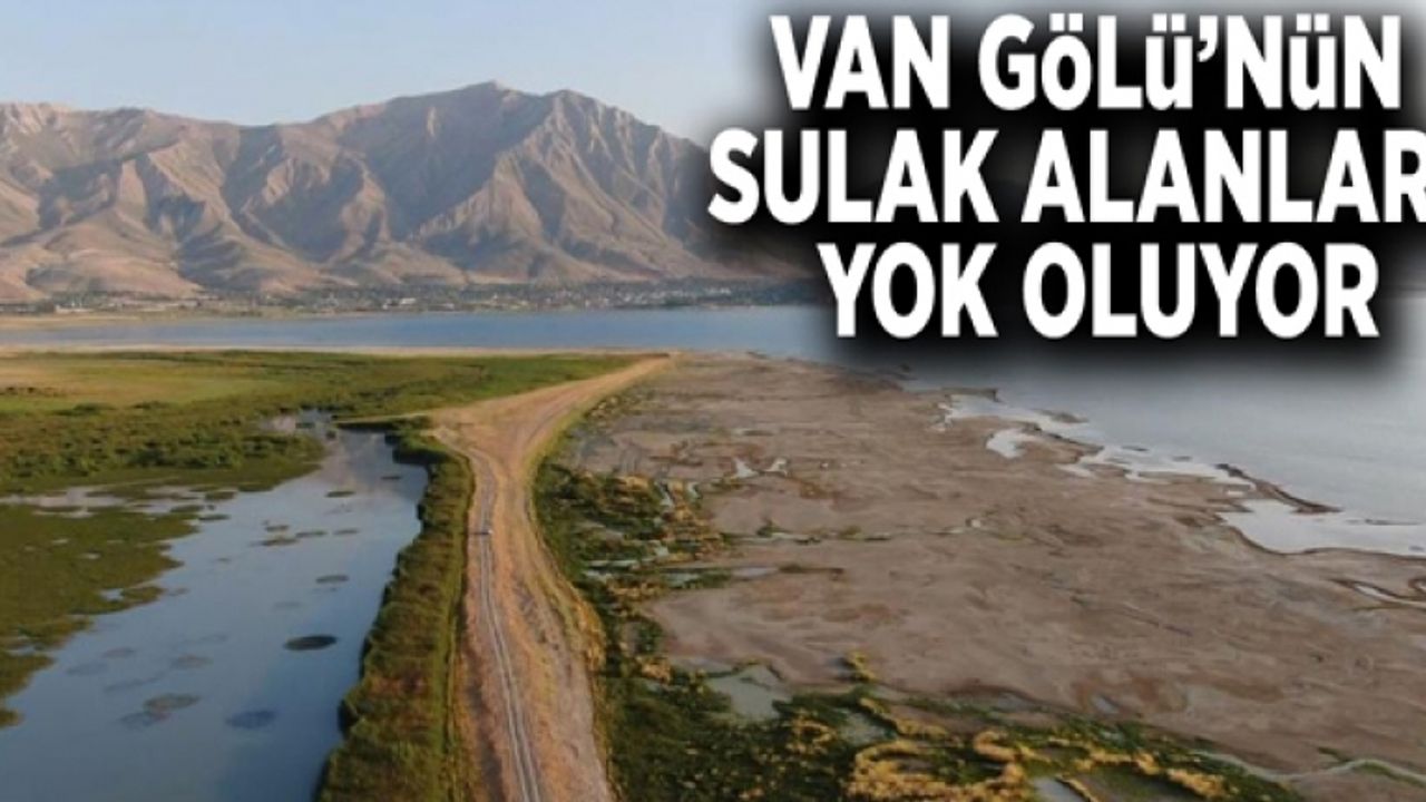 Van Gölü’nün sulak alanları yok oluyor