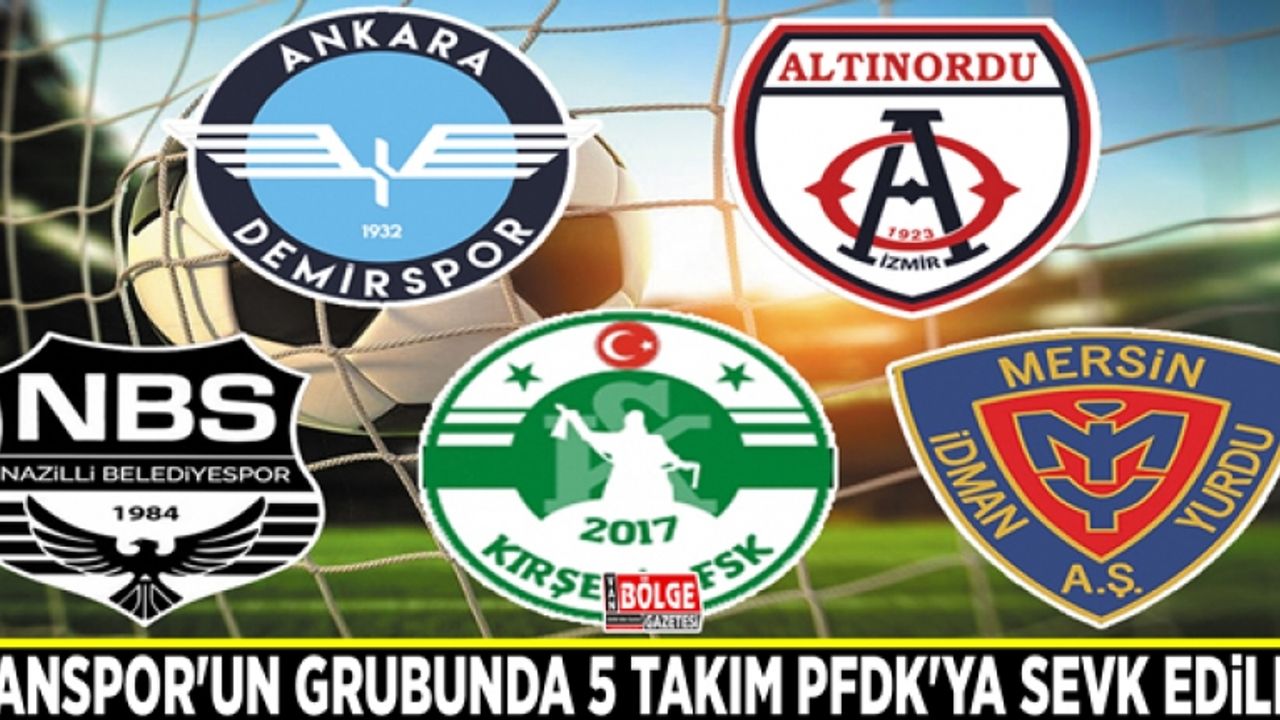 Vanspor'un grubunda 5 takım PFDK'ya sevk edildi