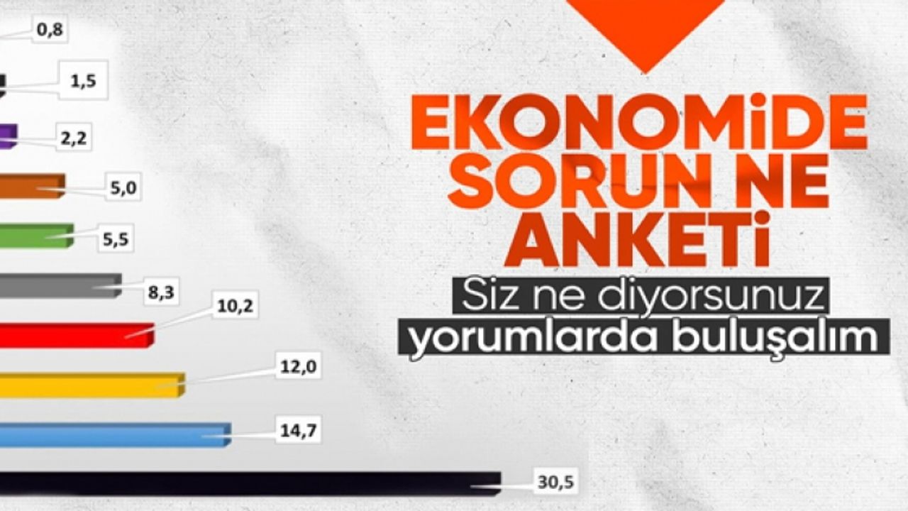ASAL Araştırma'dan 'Türkiye ekonomisinin en önemli sorunu nedir' anketi