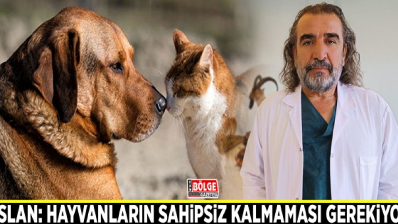 Aslan: Hayvanların sahipsiz kalmaması gerekiyor