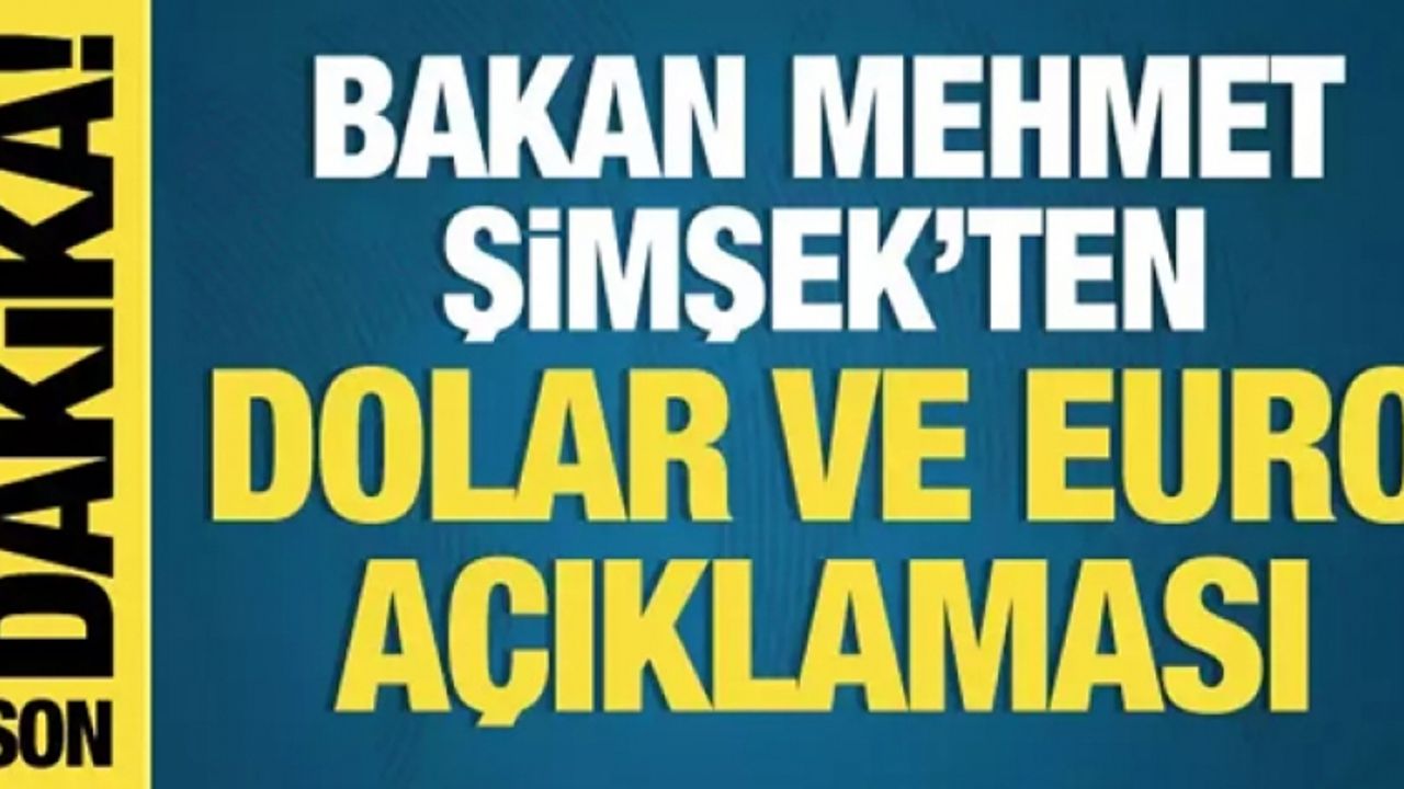 Bakan Mehmet Şimşek'ten dolar ve Euro açıklaması