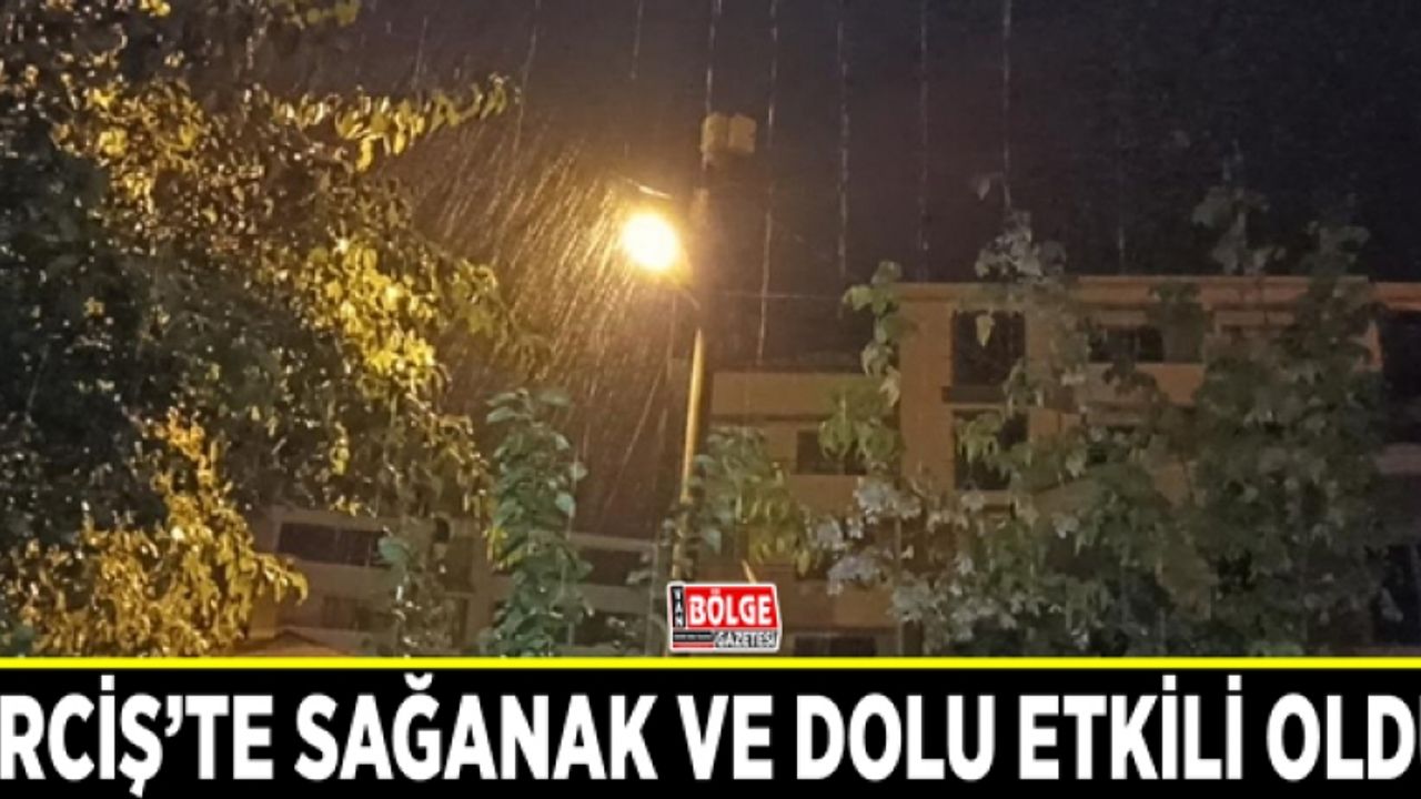 Erciş’te sağanak ve dolu etkili oldu