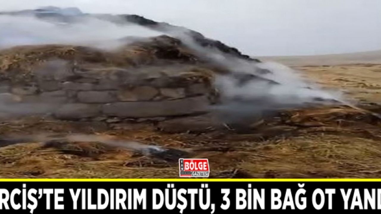 Erciş’te yıldırım düştü, 3 bin bağ ot yandı