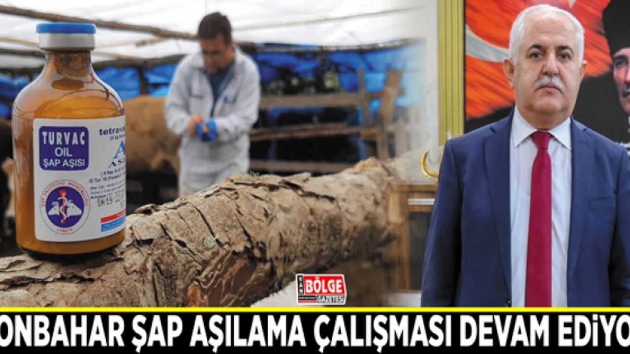 Sonbahar şap aşılama çalışması devam ediyor