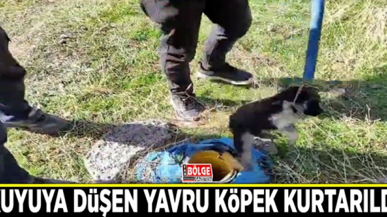 Sondaj kuyusuna düşen yavru köpek kurtarıldı