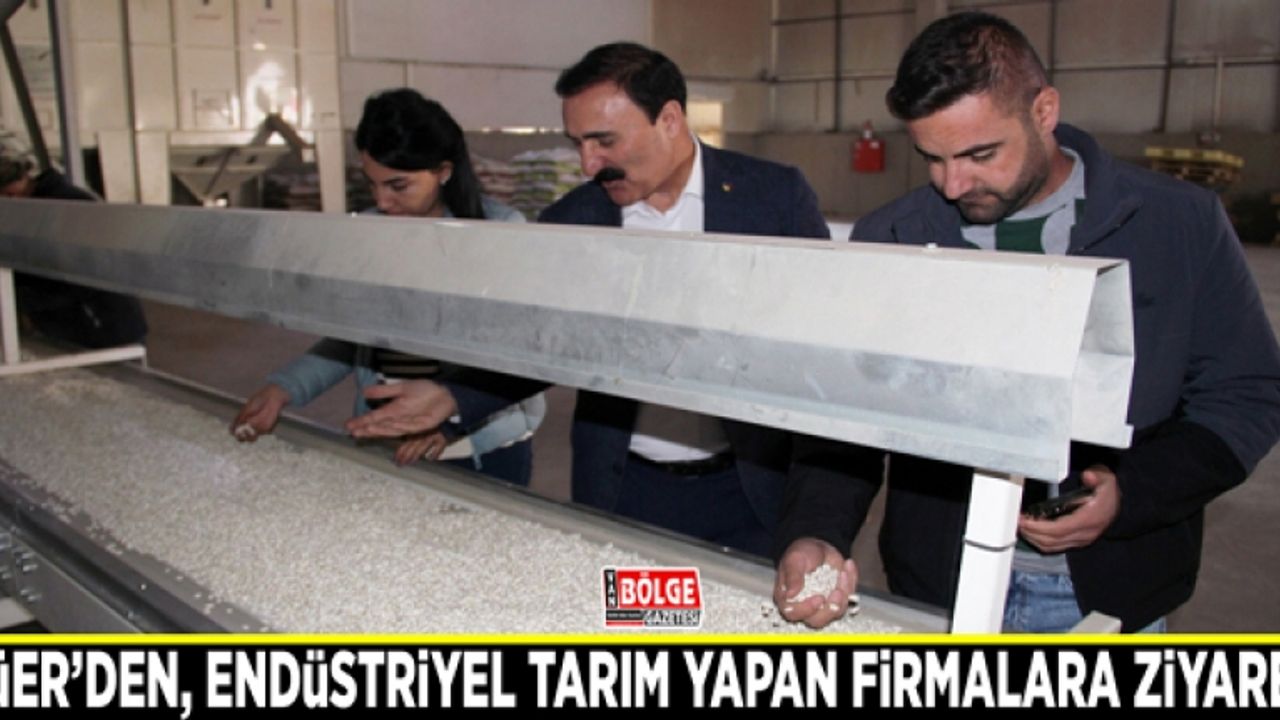 Süer’den, endüstriyel tarım yapan firmalara ziyaret