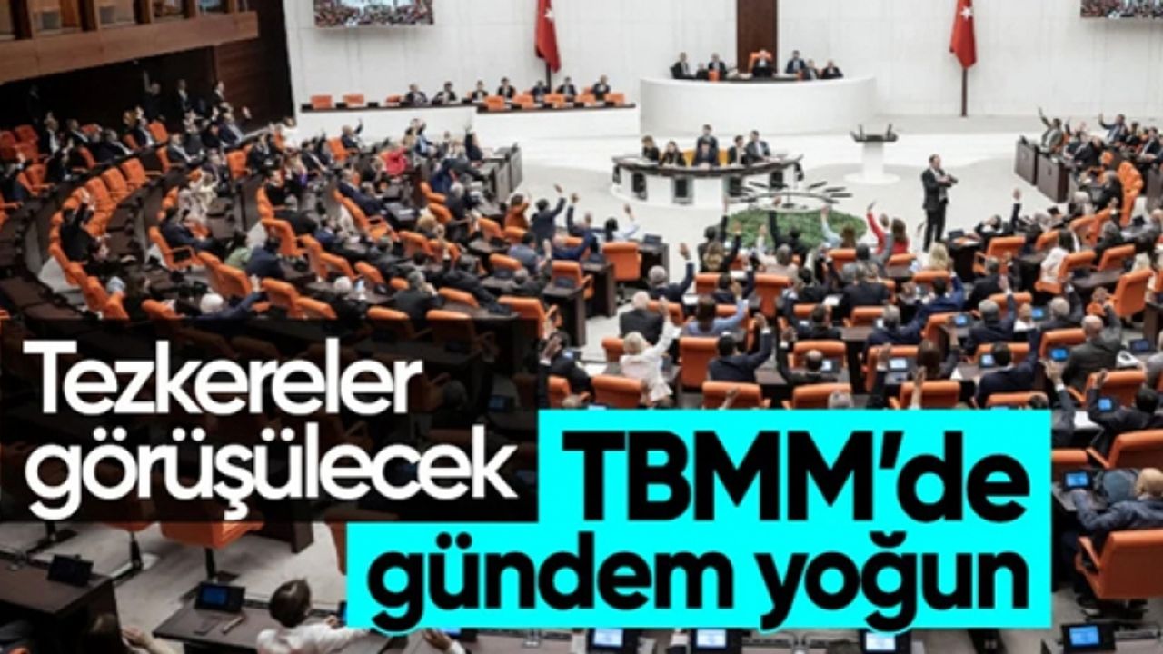 TBMM'de yoğun mesai başlıyor