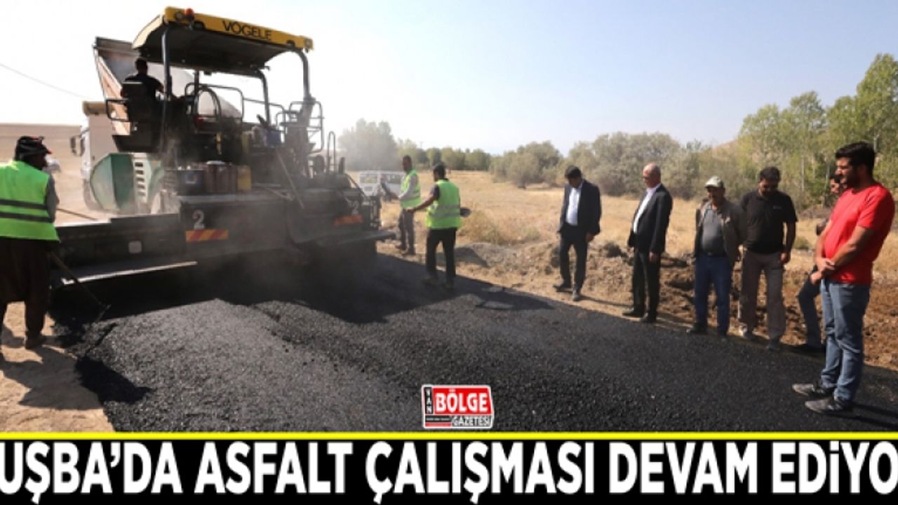 Tuşba’da asfalt çalışması devam ediyor
