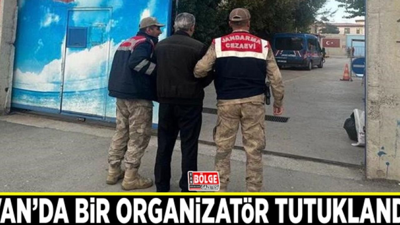 Van'da bir organizatör tutuklandı