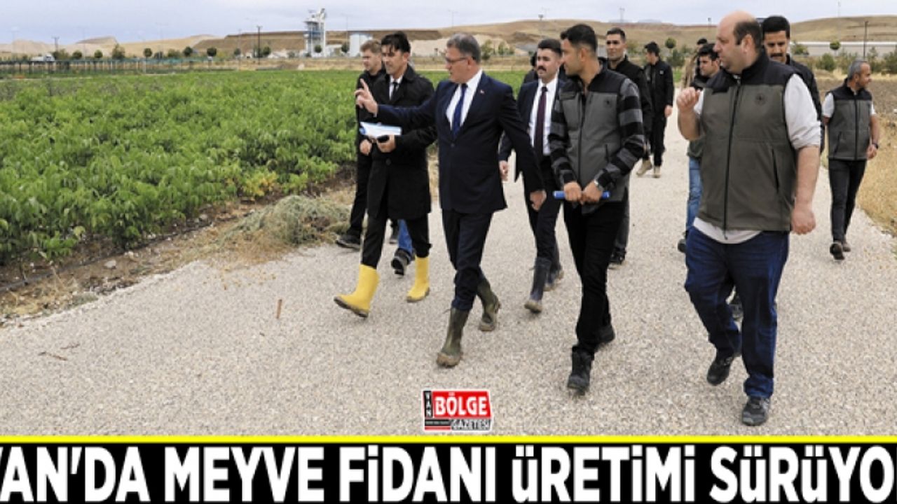 Van'da meyve fidanı üretimi sürüyor