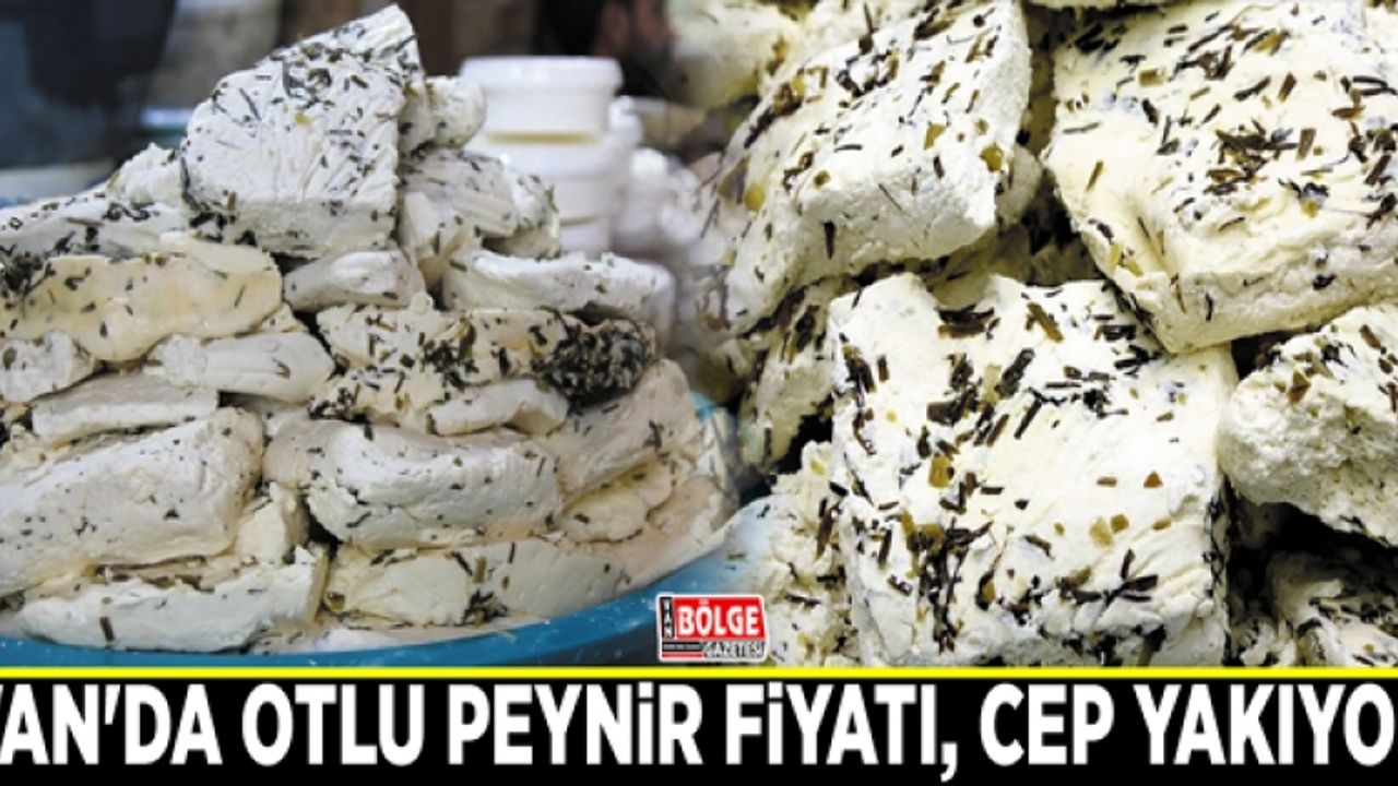 Van'da otlu peynir fiyatı, cep yakıyor