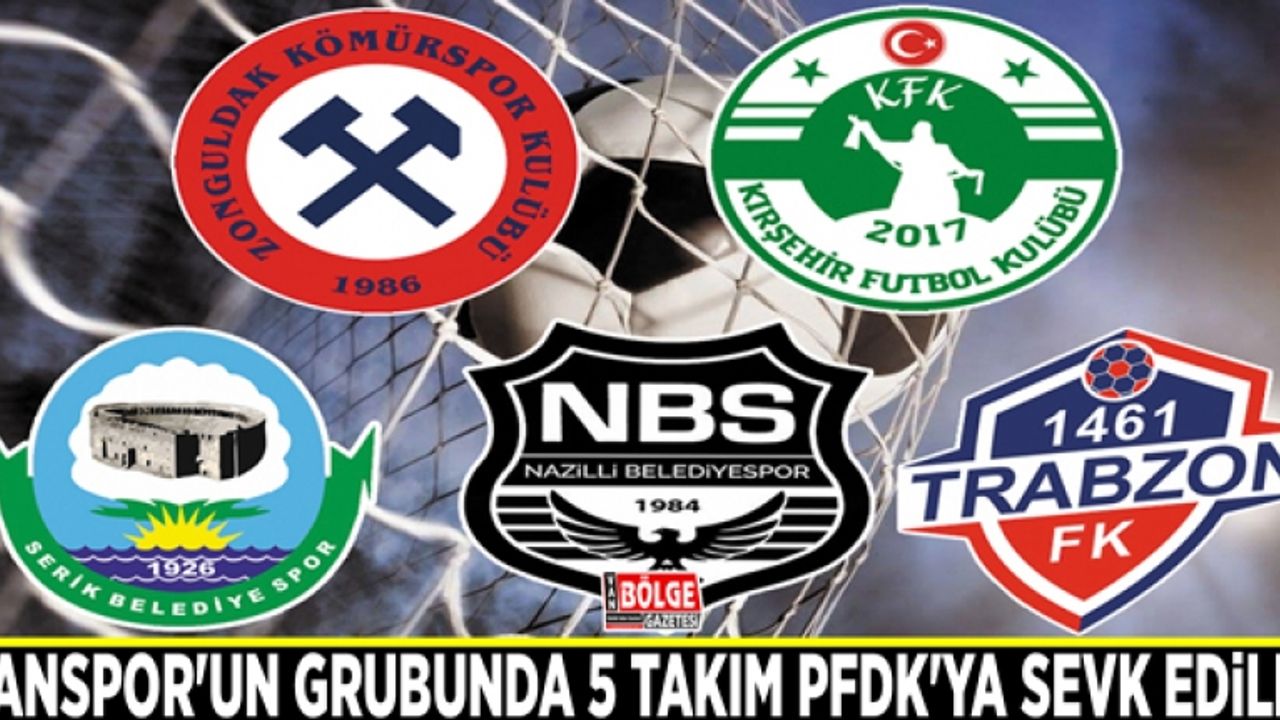 Vanspor'un grubunda 5 takım PFDK'ya sevk edildi