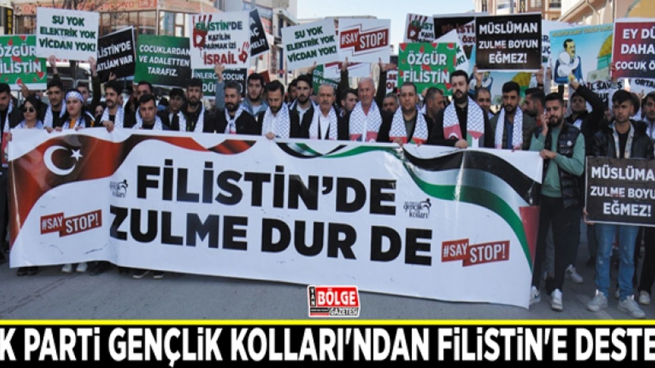AK Parti Gençlik Kolları'ndan Filistin'e destek