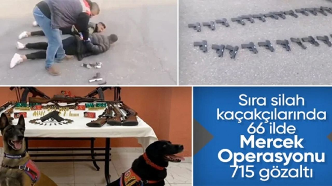 66 ilde silah kaçakçılığı yapan 715 kişi gözaltına alındı
