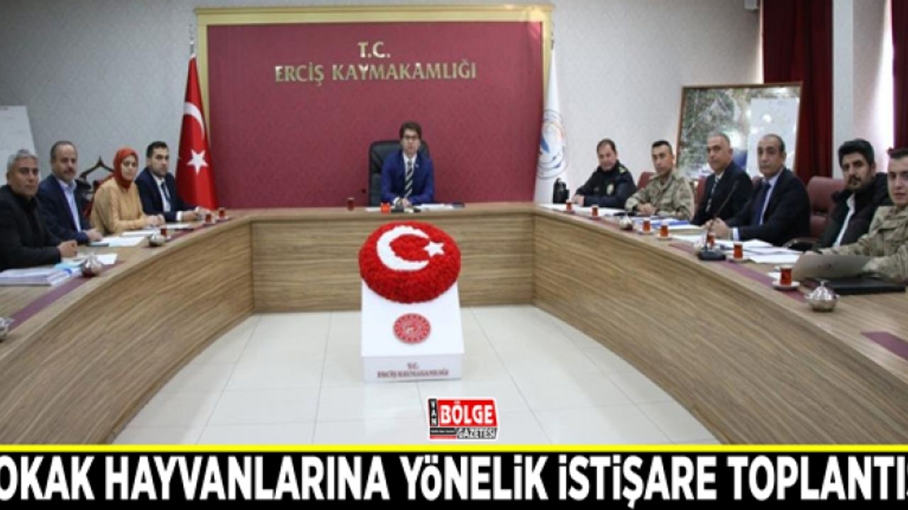 Erciş’te sokak hayvanlarına yönelik istişare toplantısı yapıldı
