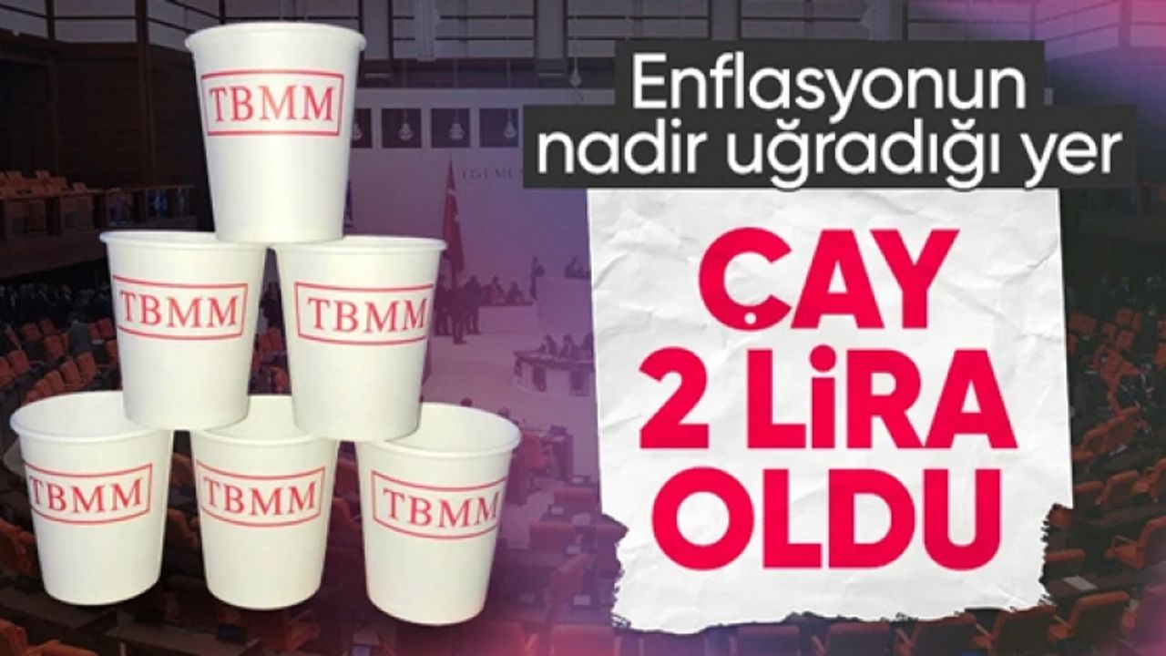TBMM'de çaya yüzde 100 zam: 2 lira oldu