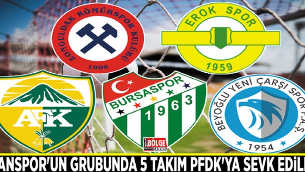 Vanspor'un grubunda 5 takım PFDK'ya sevk edildi