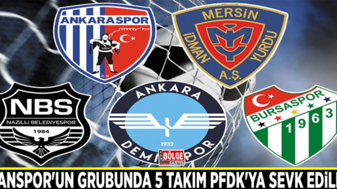Vanspor'un grubunda 5 takım PFDK'ya sevk edildi