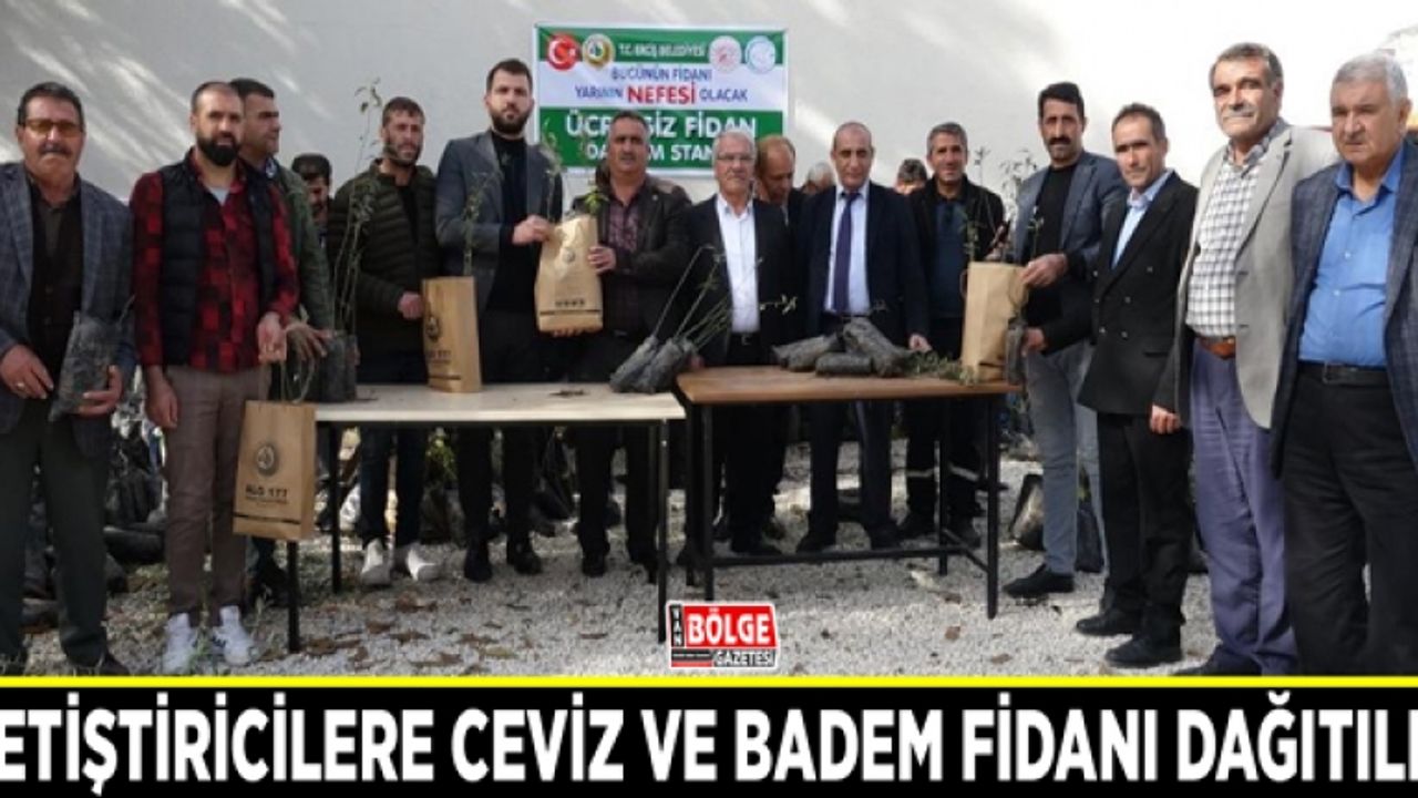 Yetiştiricilere ceviz ve badem fidanı dağıtıldı