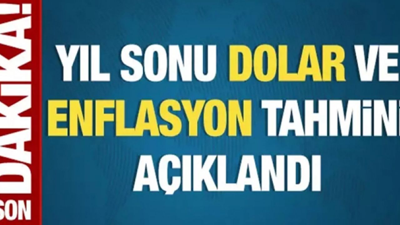 Yıl sonu dolar ve enflasyon tahmini açıklandı