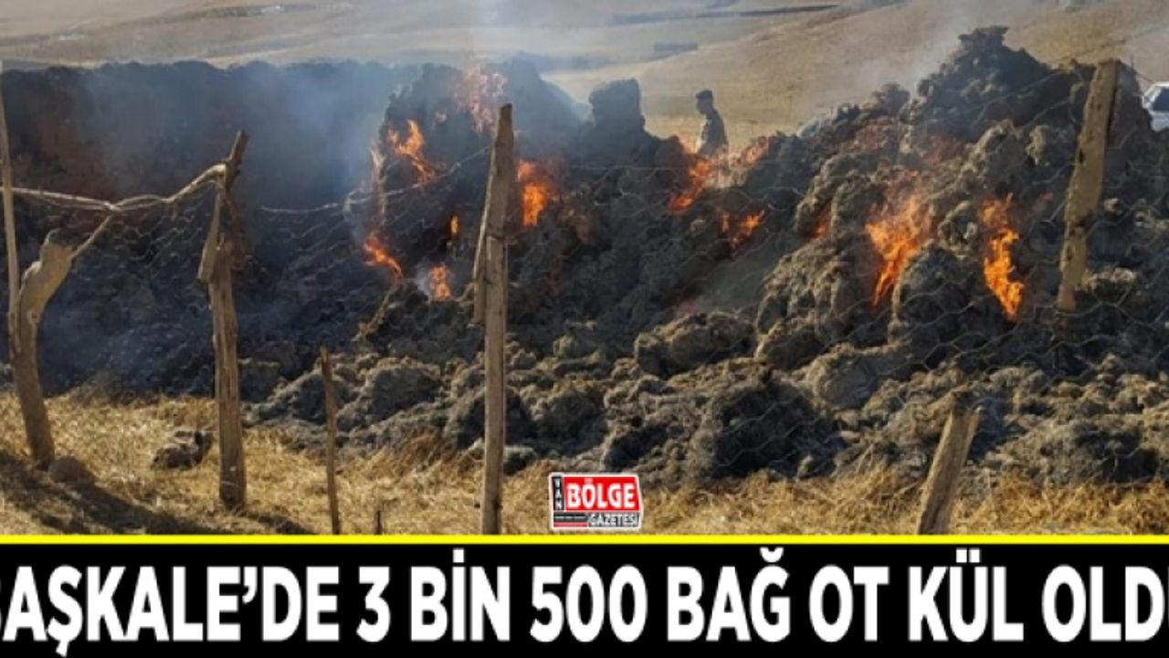 Başkale’de 3 bin 500 bağ ot kül oldu