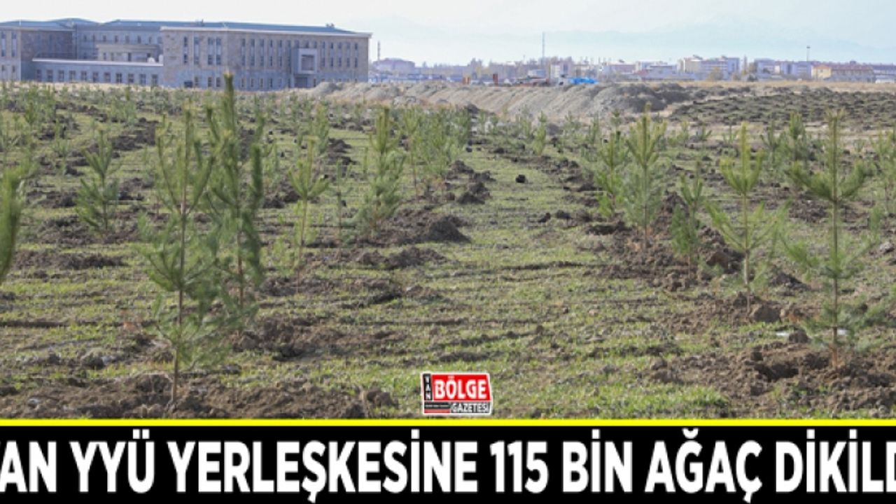 Van YYÜ yerleşkesine 115 bin ağaç dikildi
