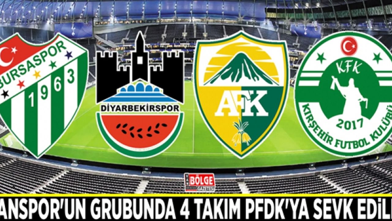 Vanspor'un grubunda 4 takım PFDK'ya sevk edildi