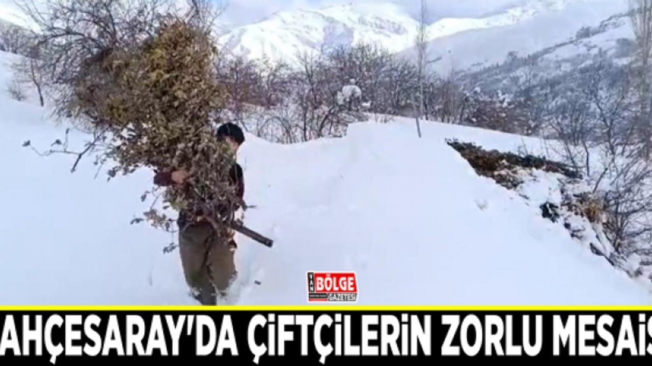 Bahçesaray'da çiftçilerin zorlu mesaisi