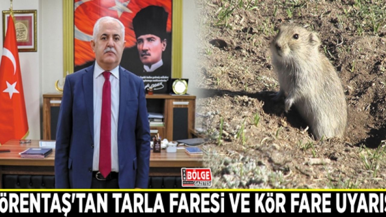 Görentaş'tan tarla faresi ve kör fare uyarısı