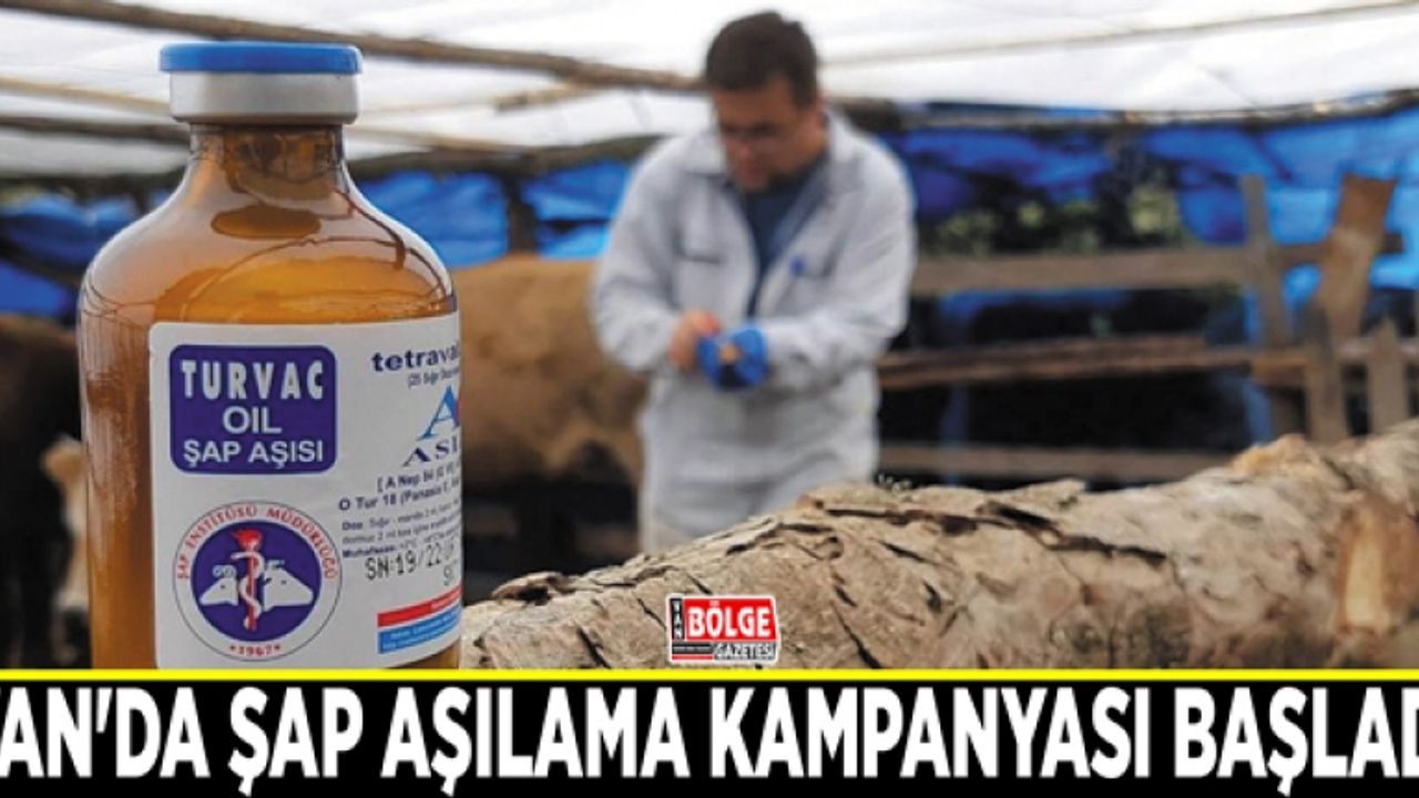 Van'da şap aşılama kampanyası başladı