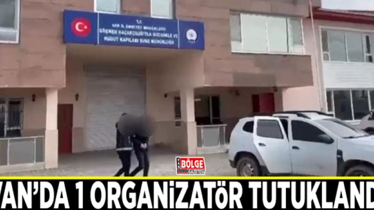 Van’da 1 organizatör tutuklandı