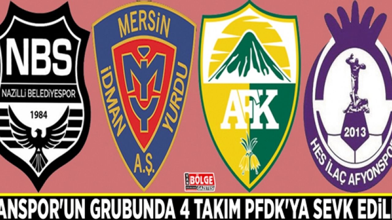 Vanspor'un grubunda 4 takım PFDK'ya sevk edildi