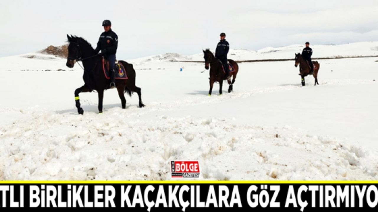 Atlı birlikler kaçakçılara göz açtırmıyor