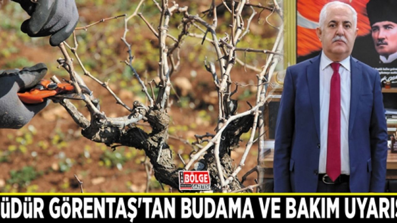 Müdür Görentaş'tan budama ve bakım uyarısı