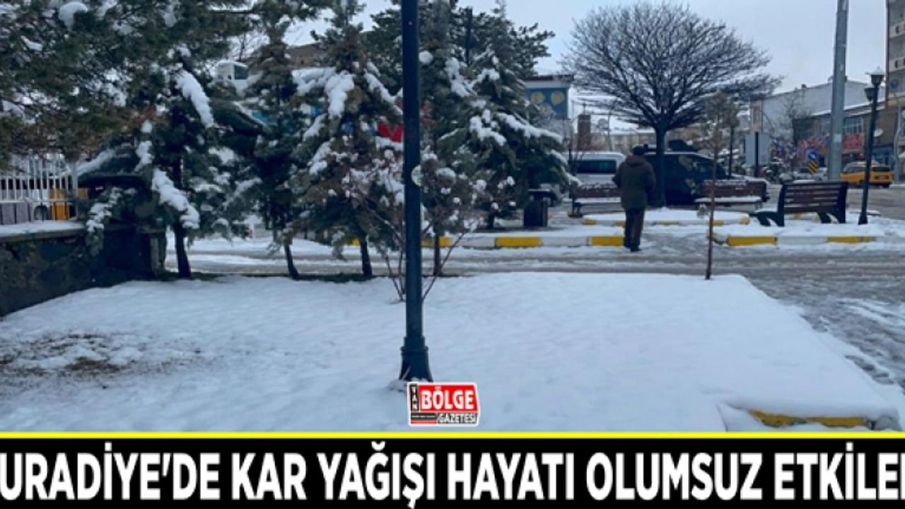 Muradiye'de kar yağışı hayatı olumsuz etkiledi