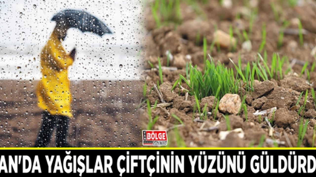 Van'da yağışlar çiftçinin yüzünü güldürdü