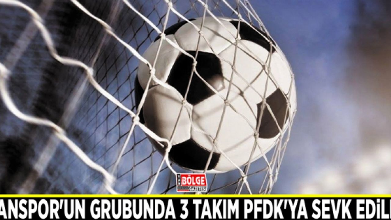Vanspor'un grubunda 3 takım PFDK'ya sevk edildi