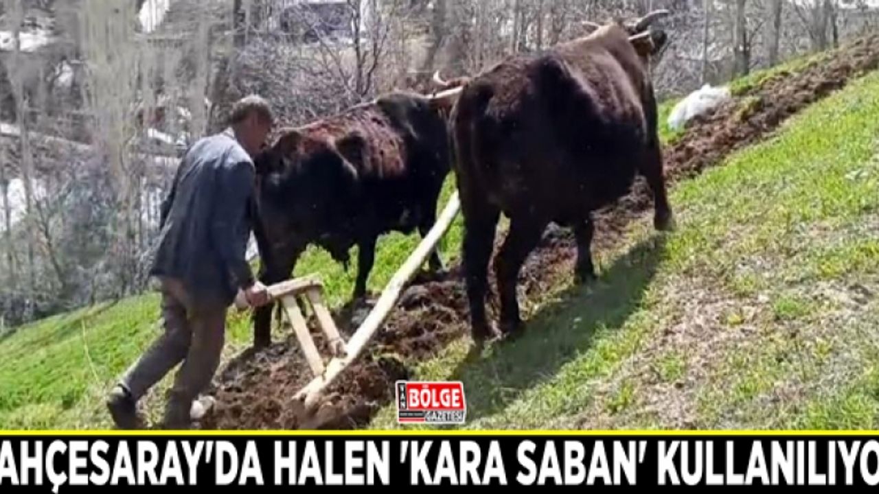 Bahçesaray'da halen 'Kara saban' kullanılıyor