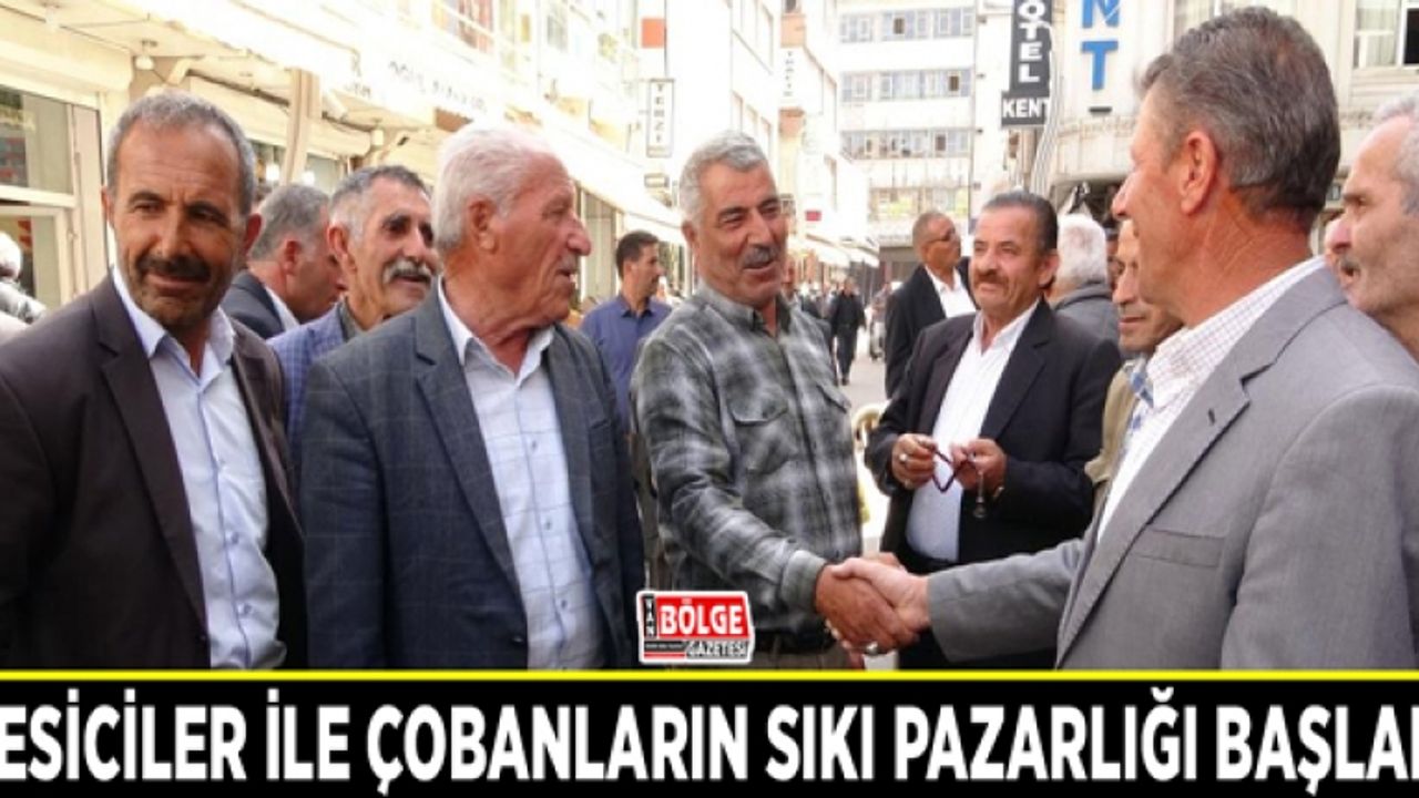 Besiciler ile çobanların sıkı pazarlığı başladı