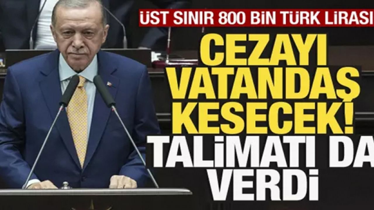 Cezayı vatandaş kesecek! Erdoğan da talimatı verdi, Meclis'e geliyor