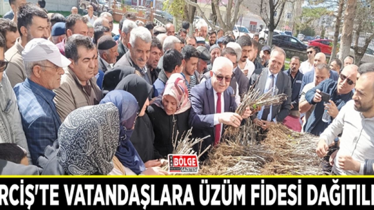 Erciş'te vatandaşlara üzüm fidesi dağıtıldı