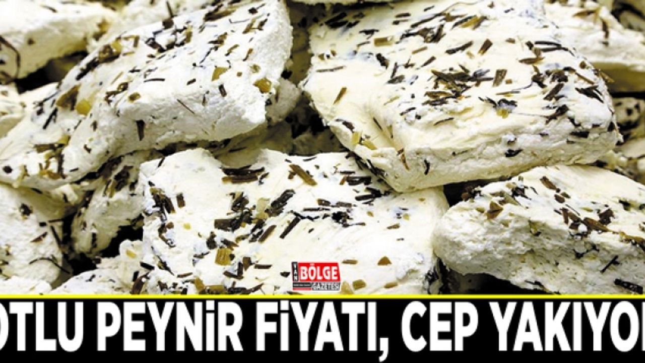 Otlu peynir fiyatı, cep yakıyor