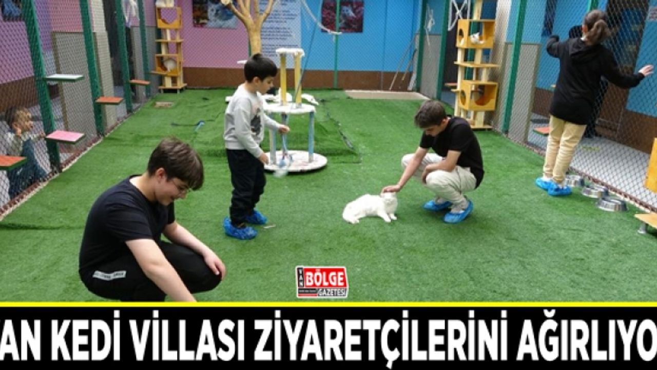 Van Kedi Villası ziyaretçilerini ağırlıyor