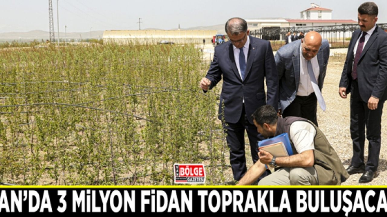 Van’da 3 milyon fidan toprakla buluşacak