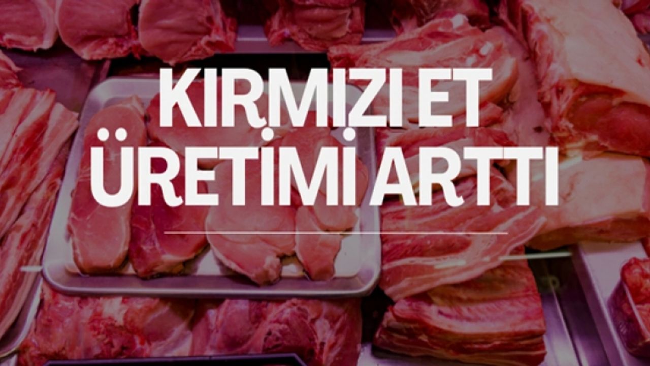 Kırmızı et üretimi 2023 yılında yüzde 8,8 arttı