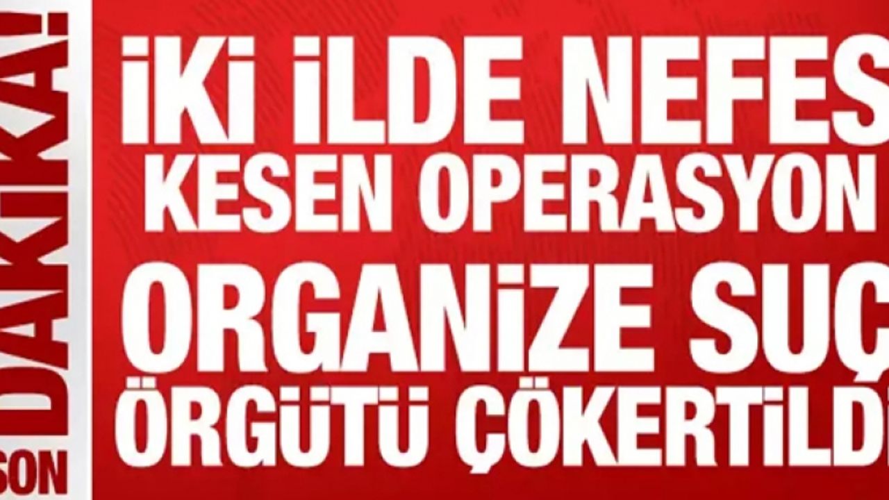 Organize suç örgütü çökertildi