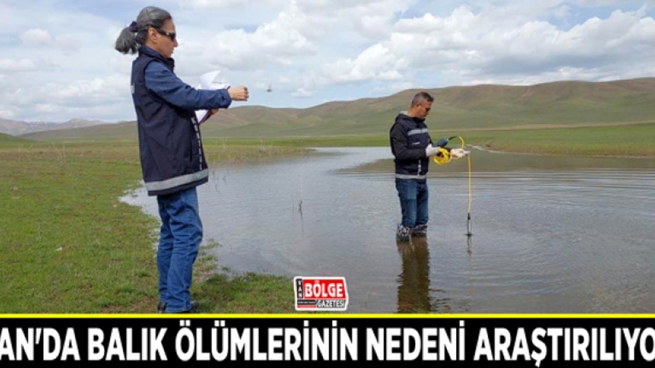 Van'da yaşanan balık ölümlerinin nedeni araştırılıyor